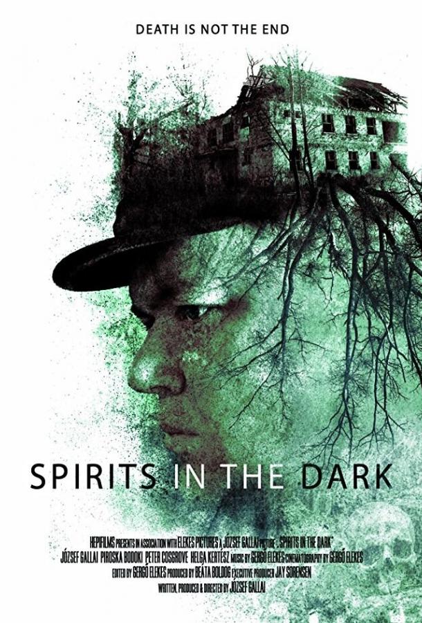   Spirits in the Dark (2020) 