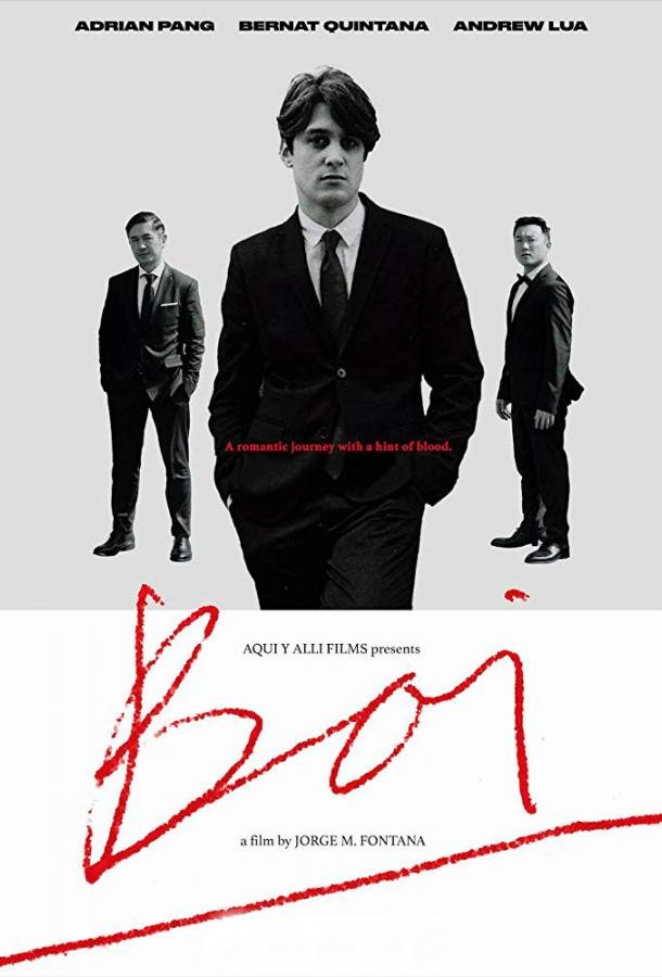 Бой / The Boy / Boi (2019) 
