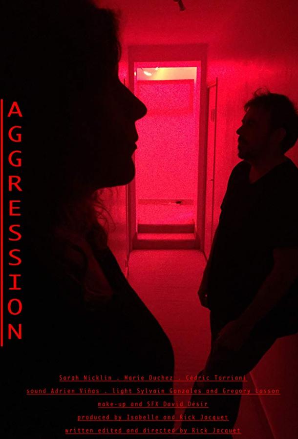 Агрессия / Aggression (2017) 