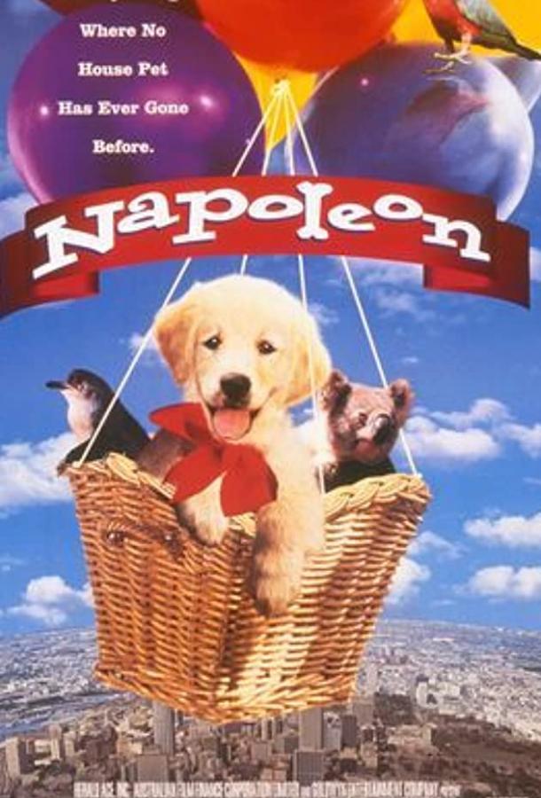 Наполеон / Napoleon (1995) 