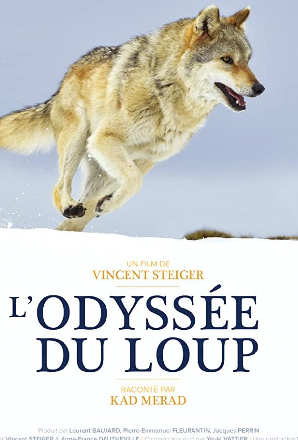Путешествие волка / L'Odyssée du Loup (2019) 