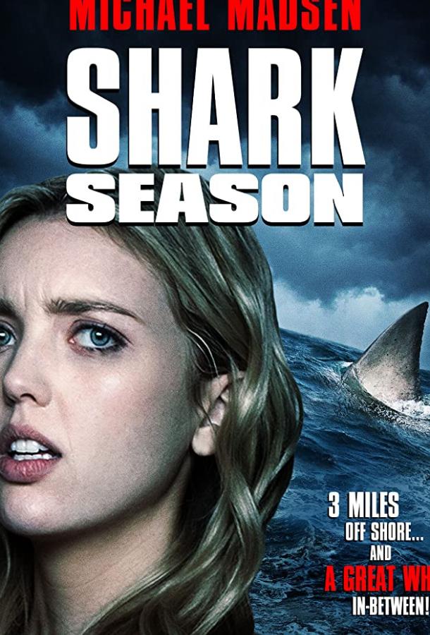   Сезон акул (2020) 